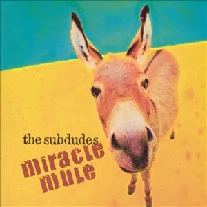 Miracle mule